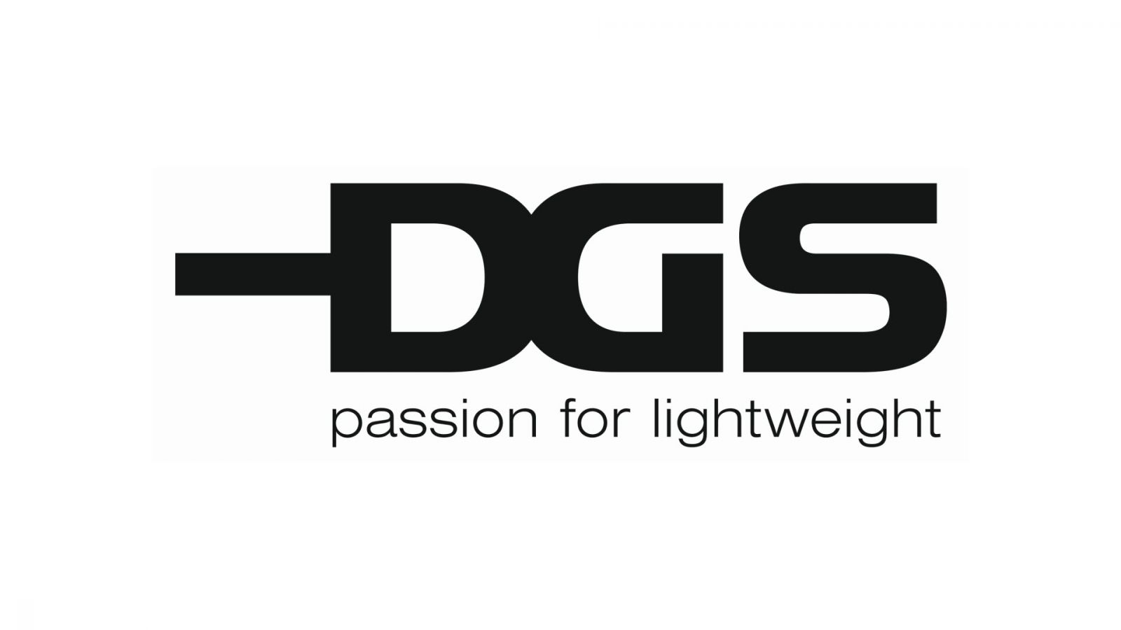 logo DGS Druckguss Systeme s.r.o.